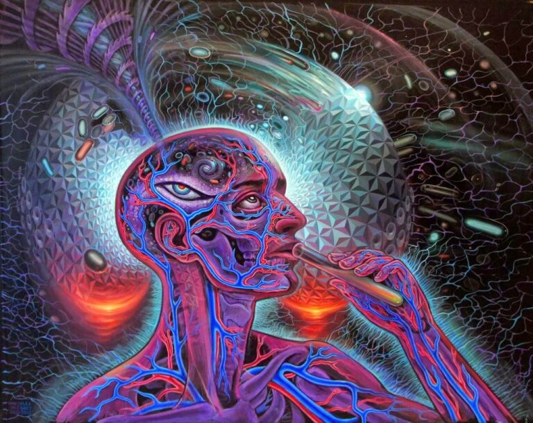 Psychedelics and the Awakening of Consciousness